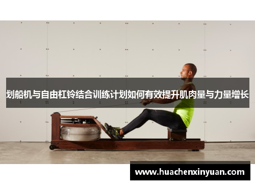 划船机与自由杠铃结合训练计划如何有效提升肌肉量与力量增长