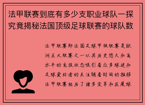 法甲联赛到底有多少支职业球队一探究竟揭秘法国顶级足球联赛的球队数量