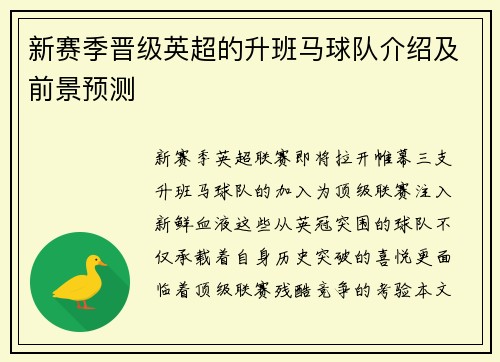 新赛季晋级英超的升班马球队介绍及前景预测